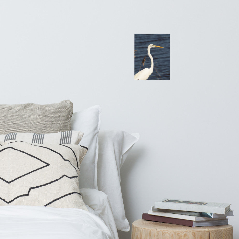 Great White Egret Wildlife Photography Unframed Wall Art Print, 8" X 10"