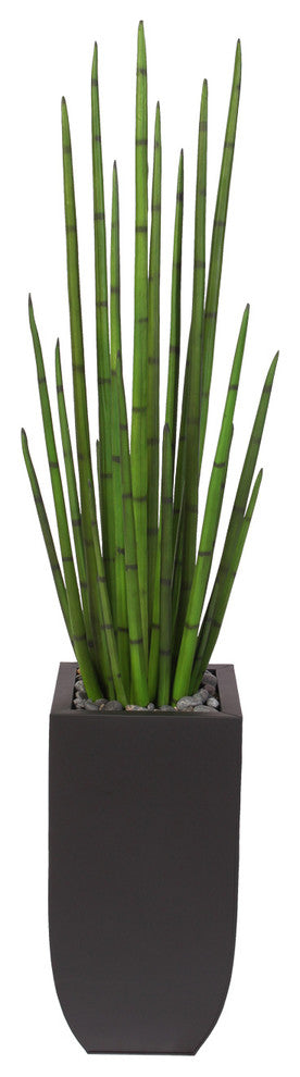 63" Tall Snake Grass Display With Pebbles in Metal Planter
