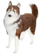 Husky Dog Life-Sized Stuffed Animal