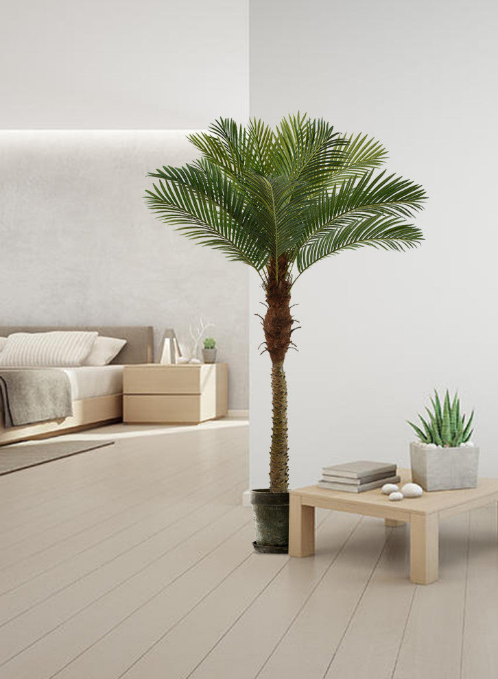 Serene Spaces Living Areca Palm Tree, 72"