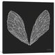 "Cicada Wings White Artprint" by Cat Coquillette, 37x37x1.5