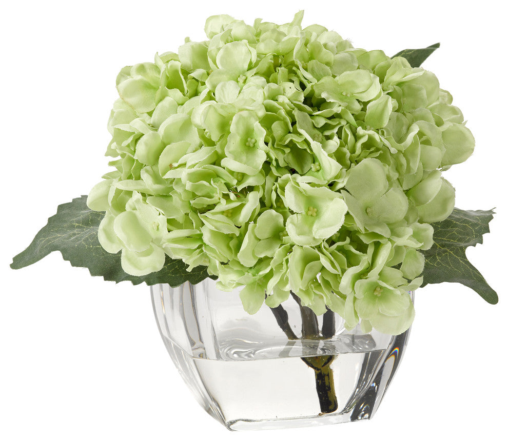 Pale green hydrangea in glass cube