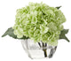 Pale green hydrangea in glass cube