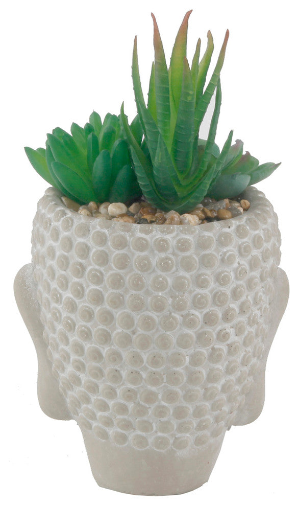 Succulent Mix, Cement Budda , 6"