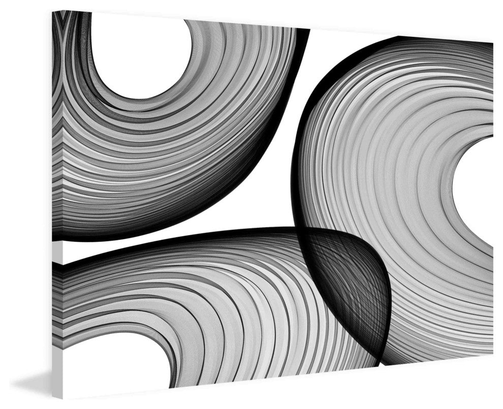 "Abstract Black and White 21-44-40" Print on Canvas by Irena Orlov