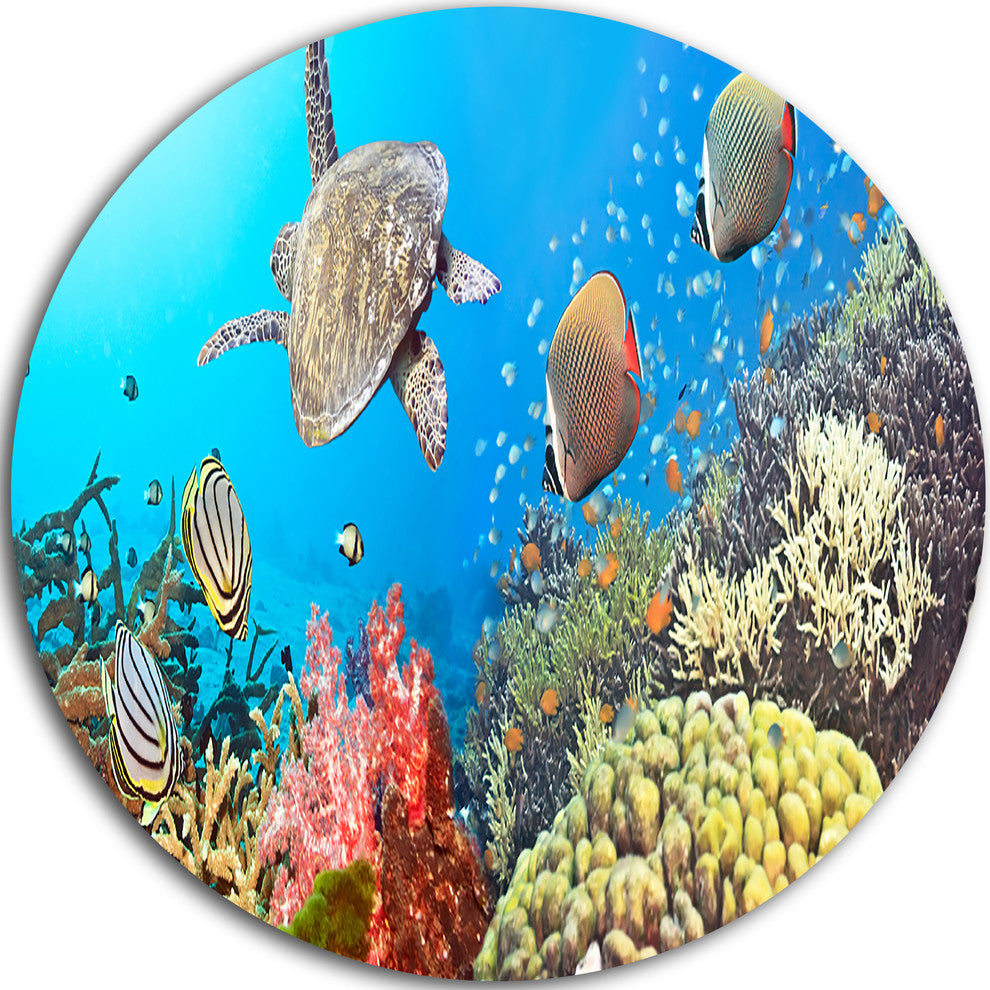 Undersea Panorama, Photography Round Wall Art, 38"