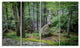 "Dense Moss Forest in Green" Landscape Art Print Canvas, 4 Panels, 48"x28"