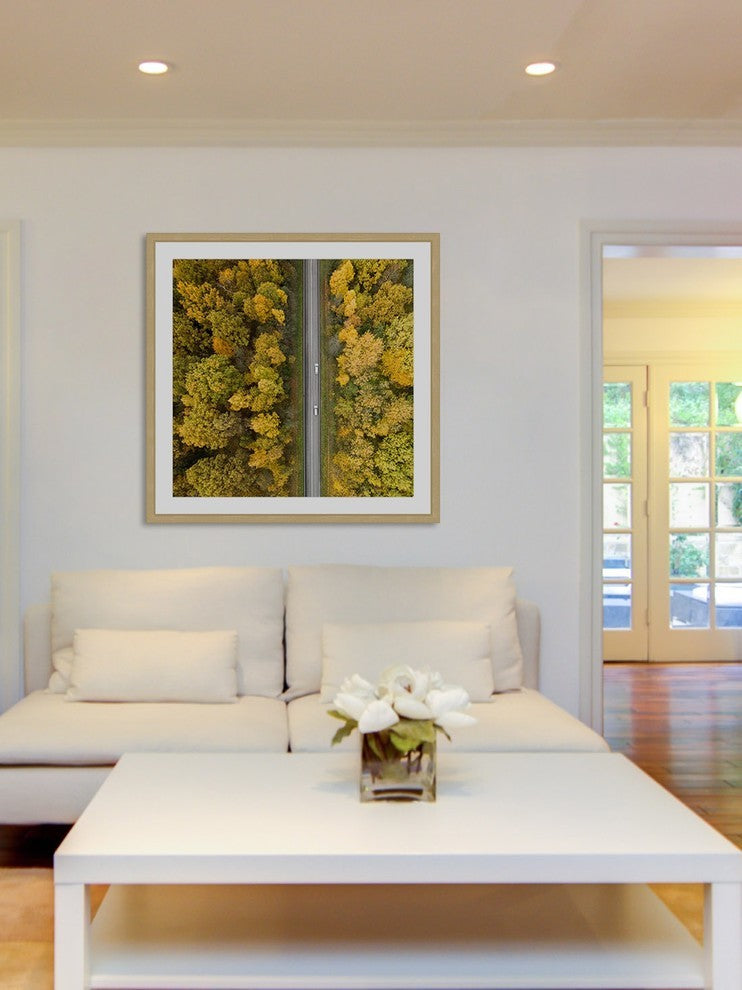 "Nature Road" Framed Print by Karolis Janulis