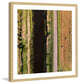 "Secret Between The Rows" Framed Print by Karolis Janulis