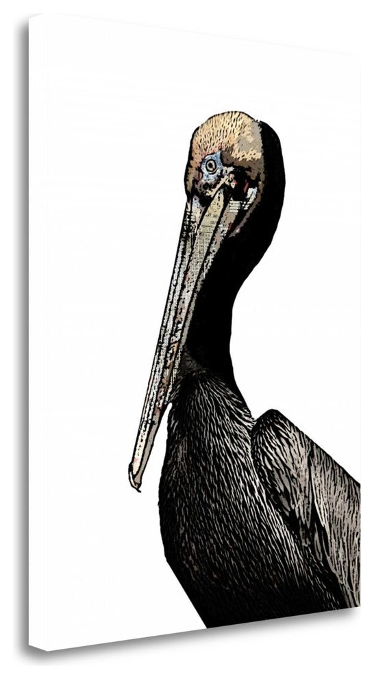 "Brown Pelican" By Sarah Ogren,Ready to Hang Giclee Print on Gallery Wrap Canvas