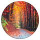 Road In Beautiful Autumn Forest, Modern Forest Round Wall Art, 11"