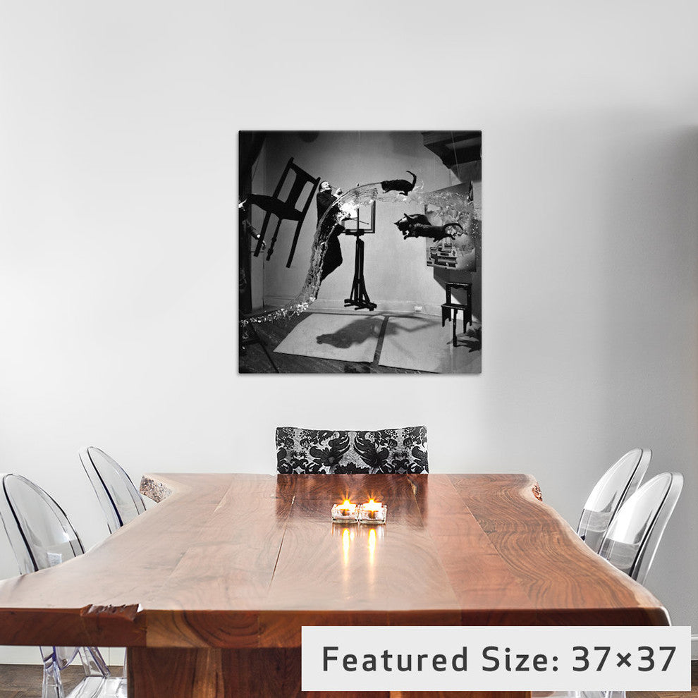 "Dali Atomicus, Photo" Wrapped Canvas Art Print, 26x26x1.5