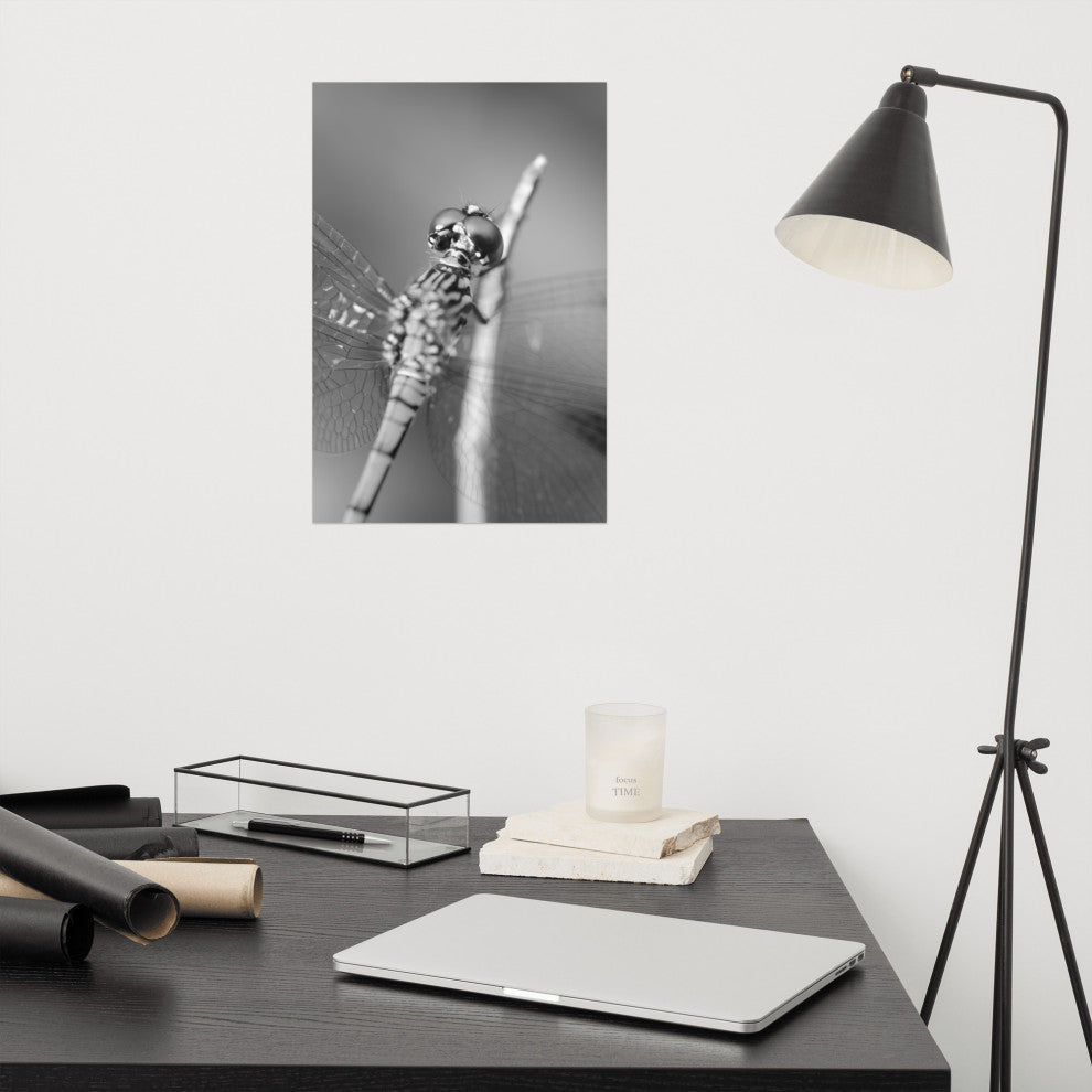 Dragonfly at Bombay Hook Black and White Unframed Wall Art Print, 12" X 18"