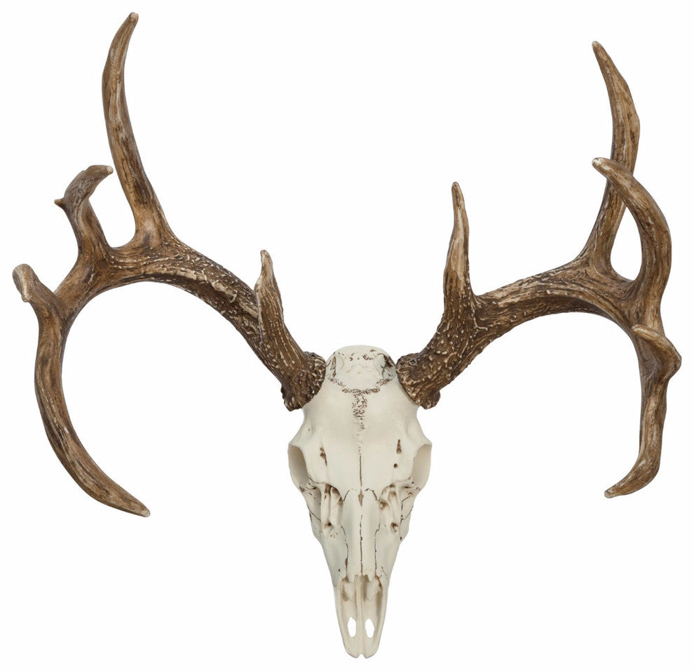 Whitetail Deer European Mount