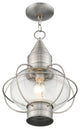 Newburyport 1-Light Chain Lantern, Brushed Nickel