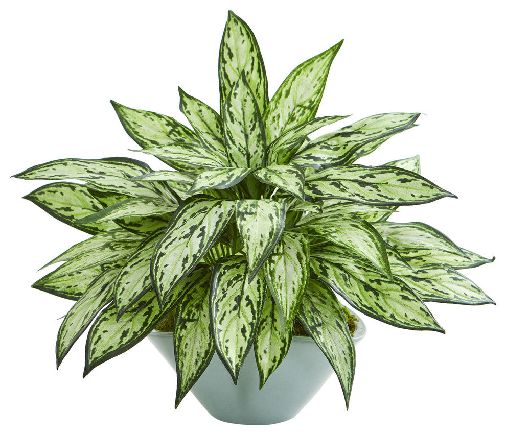Silver Queen Artificial Plant in Green Vase