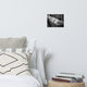 Gull King Black & White (Coastal Birds) Wildlife Photo Unframed Wall Art Print, 8" X 10"