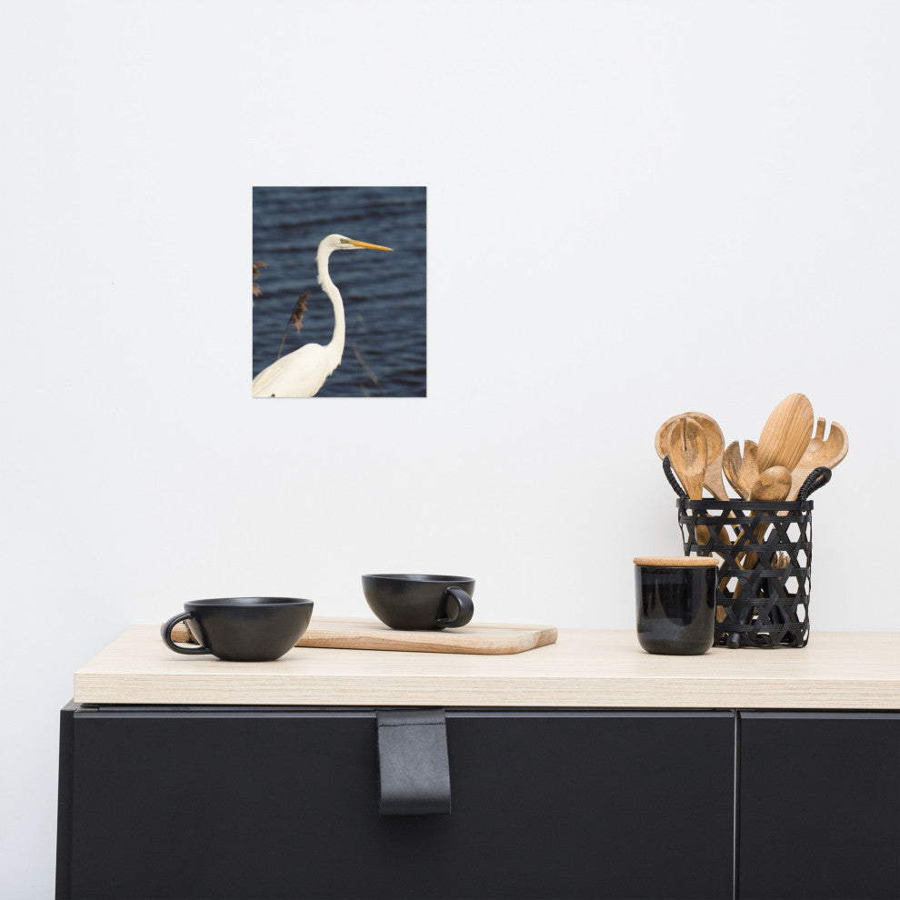 Great White Egret Wildlife Photography Unframed Wall Art Print, 8" X 10"