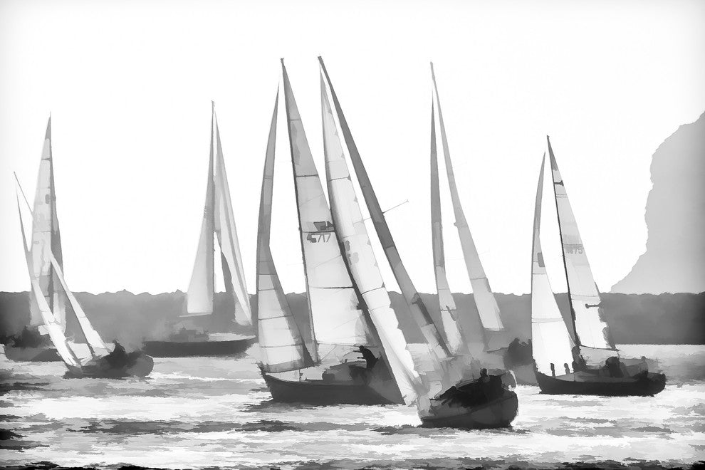 Dana Pt Sailboats Bw, Canvas Giclee, 12" X 8"