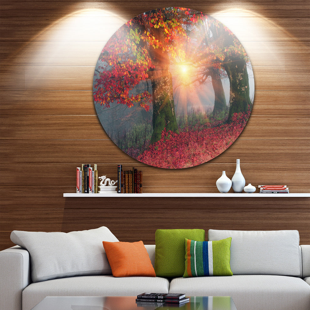 Yellow Sun In Red Autumn Forest, Landscape Photo Disc Metal Art, 38"