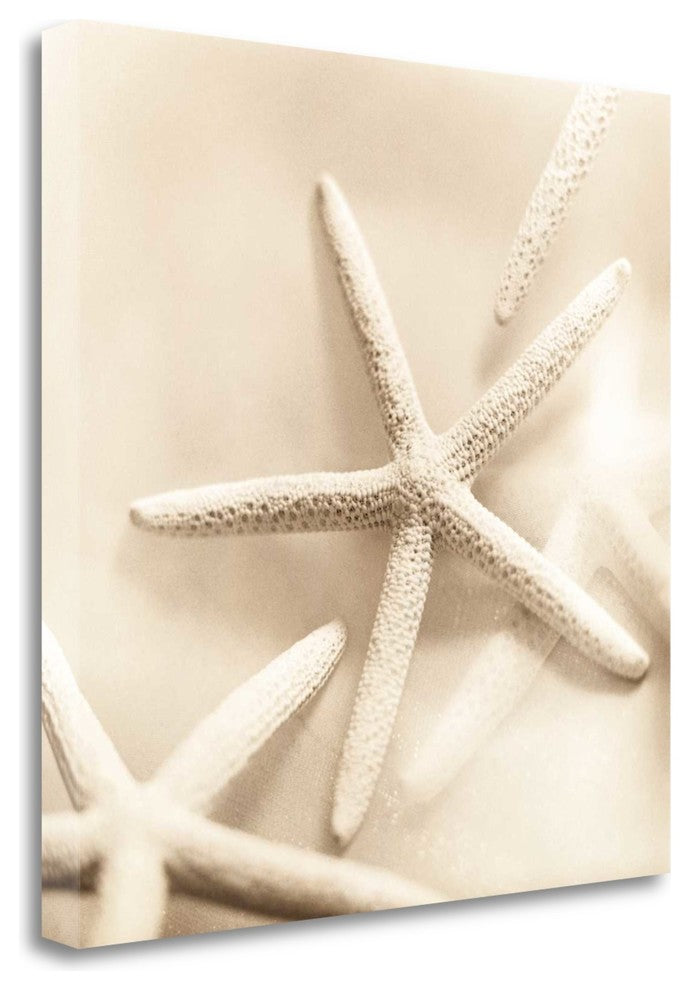 "Il Oceano No. 2" By Alan Blaustein, Giclee Print on Gallery Wrap Canvas