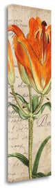 "Jardin Botanique II" By Sabine Berg, Giclee Print on Gallery Wrap Canvas