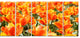 "Fresh Tulip Flowers on Sunny Day" Canvas Art Print60"x28", 5-Panels