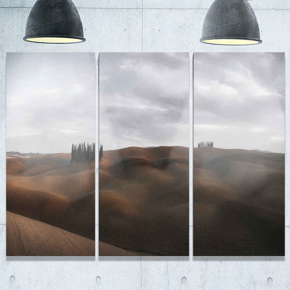 "Cypress Grove at the Field Panorama" Metal Wall Art, 3 Panels, 36"x28"