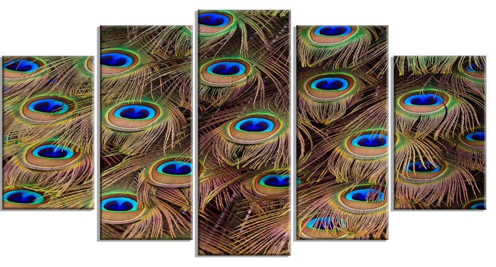 Peacock Bird Tail Feathers in Close Up, Animal Canvas Print, 60"x32", 5 Panels