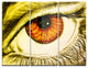 "Eye With Orange Pupil" Metal Wall Art, 3 Panels, 36"x28"