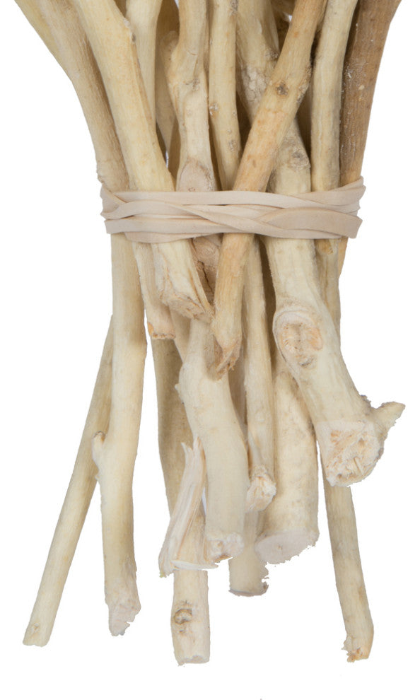 Natural Botanicals 11" x 2-4" Conical Gum Branch, 20 stems, Bleached, 11" x 2-4"