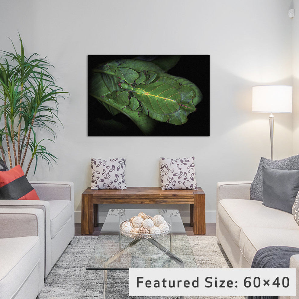 "Walking Leaf" by Jimmy Hoffman, 18x12x1.5