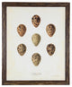 Bird Egg Print, Brown, Distressed Brown Frame