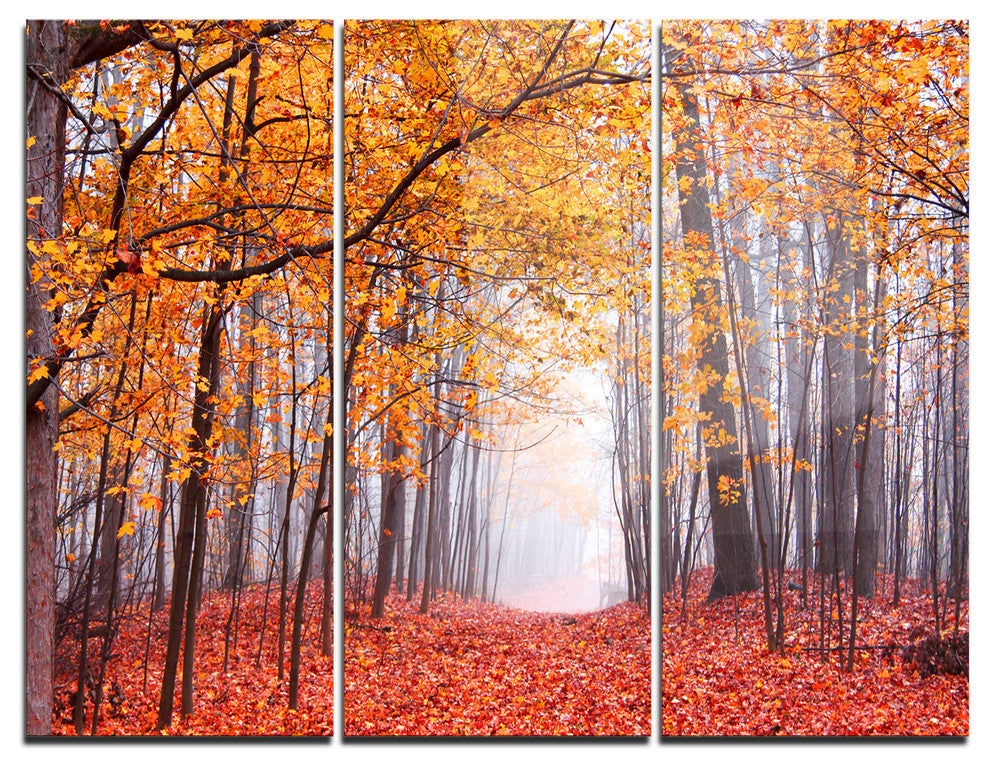 "Beautiful Trees With Fallen Leaves" Photo Metal Wall Art, 3 Panels, 36"x28"