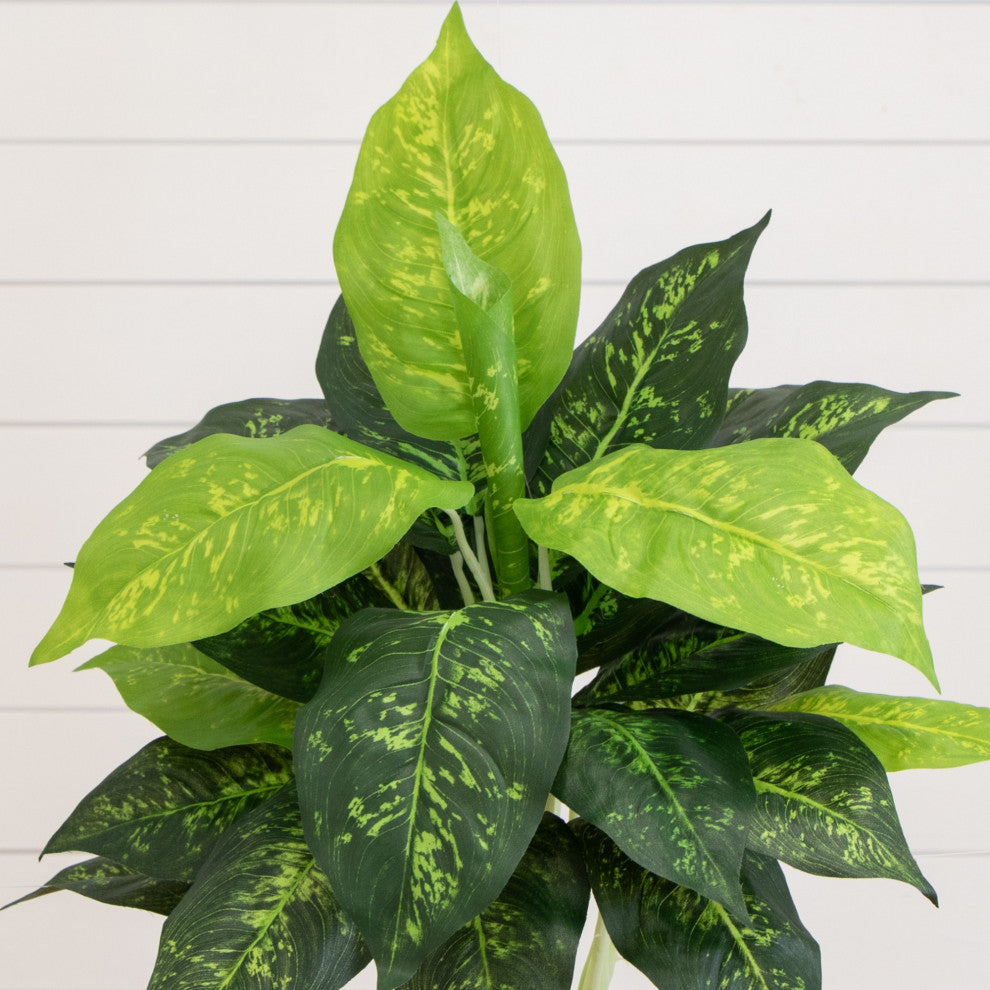 19" Artificial Dieffenbachia Plant Set of 6