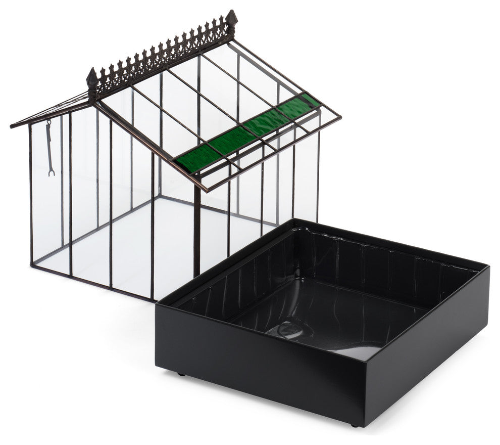 Plant Glass Terrarium Container, Indoor Planter, Wardian Case