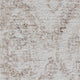 Dusk Ikat Area Rug, Neutral, 2'x3'