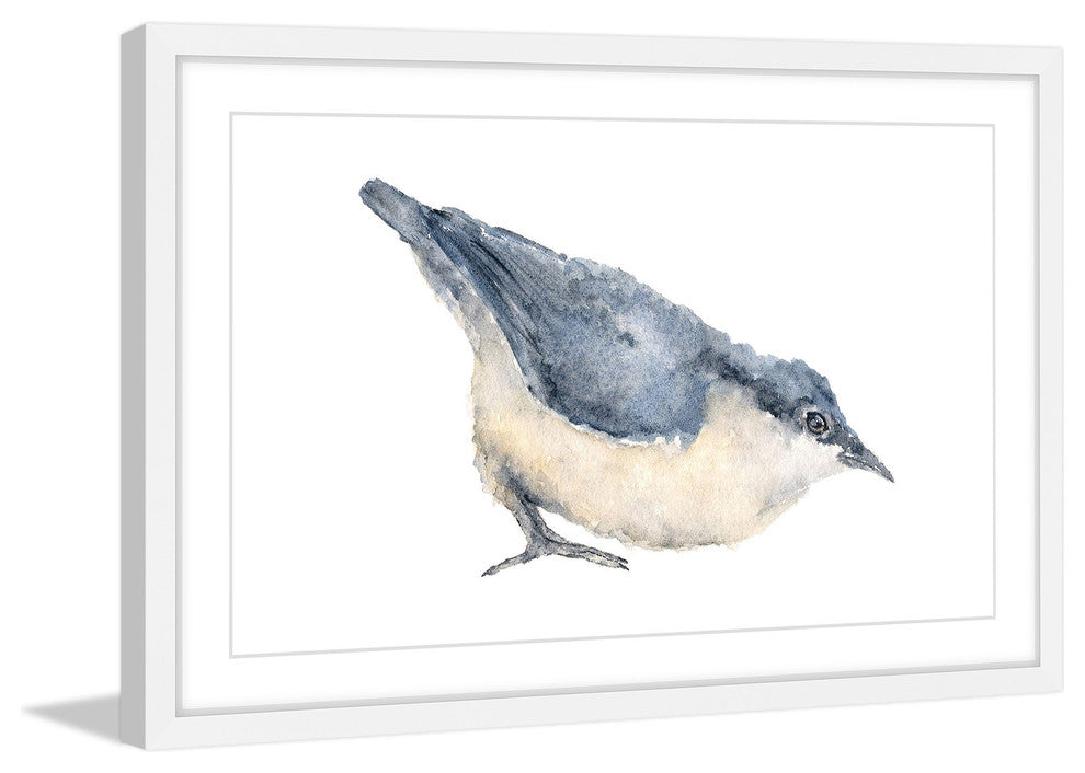 Marmont Hill, "Nuthatch Bird" by Thimble Sparrow Framed Painting Print, 36x24