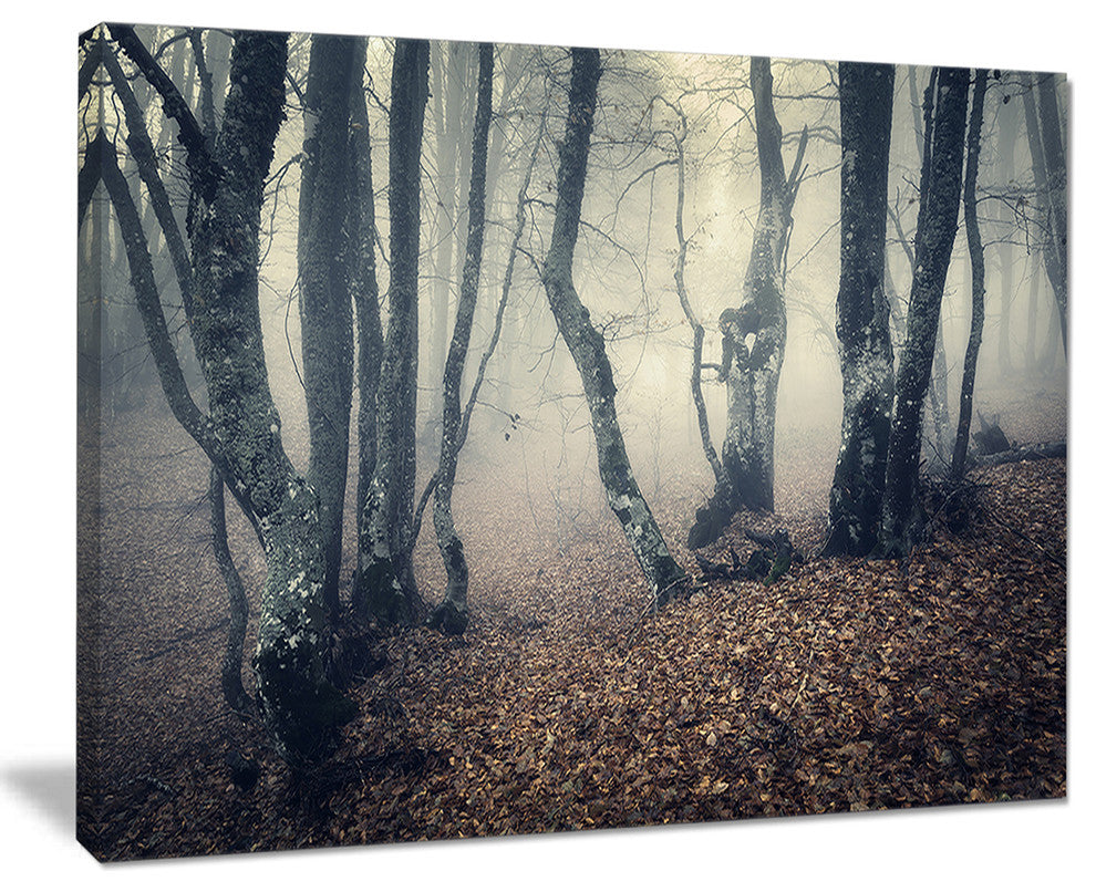 "Mystical Yellow Fog in Fall Forest" Photograph Print