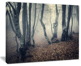 "Mystical Yellow Fog in Fall Forest" Photograph Print