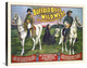 Buffalo Bill's Wild West And Congress Of Rough Riders Of The World, 1896, 36x29