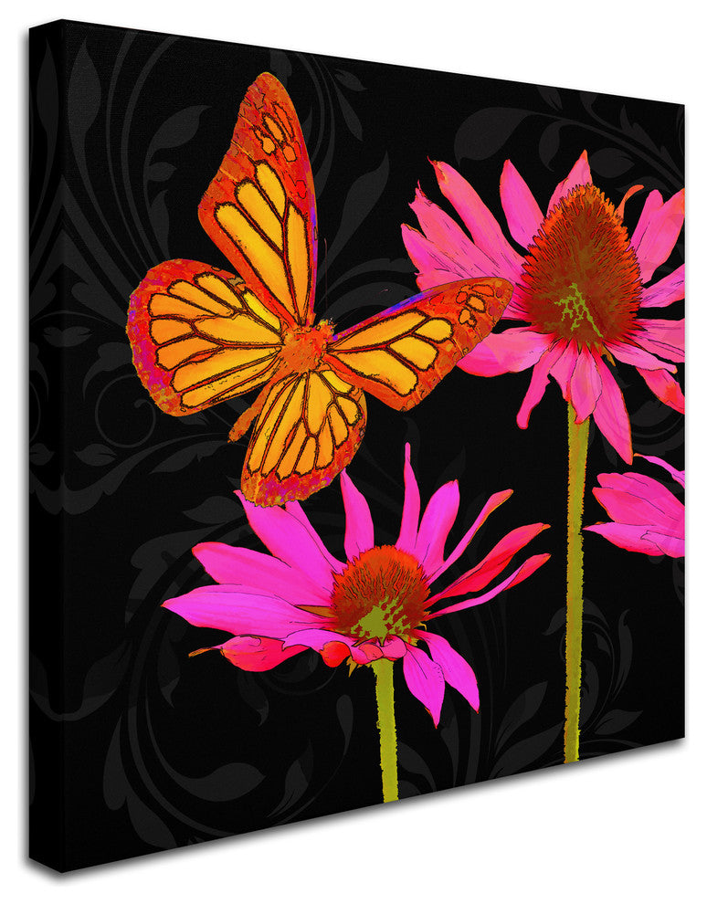 Tina Lavoie 'Color Pop II' Canvas Art, 35" x 35"