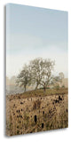 "Oak Tree - 67" By Alan Blaustein, Giclee Print on Gallery Wrap Canvas