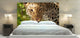 "Leopard" Headboard