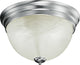 Troy 2-Light Brushed Nickel Interior Flush Mount