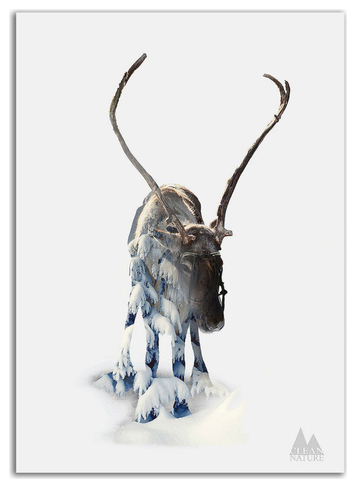 "Moose" by Clean Nature, Print on Canvas, 18"x26"