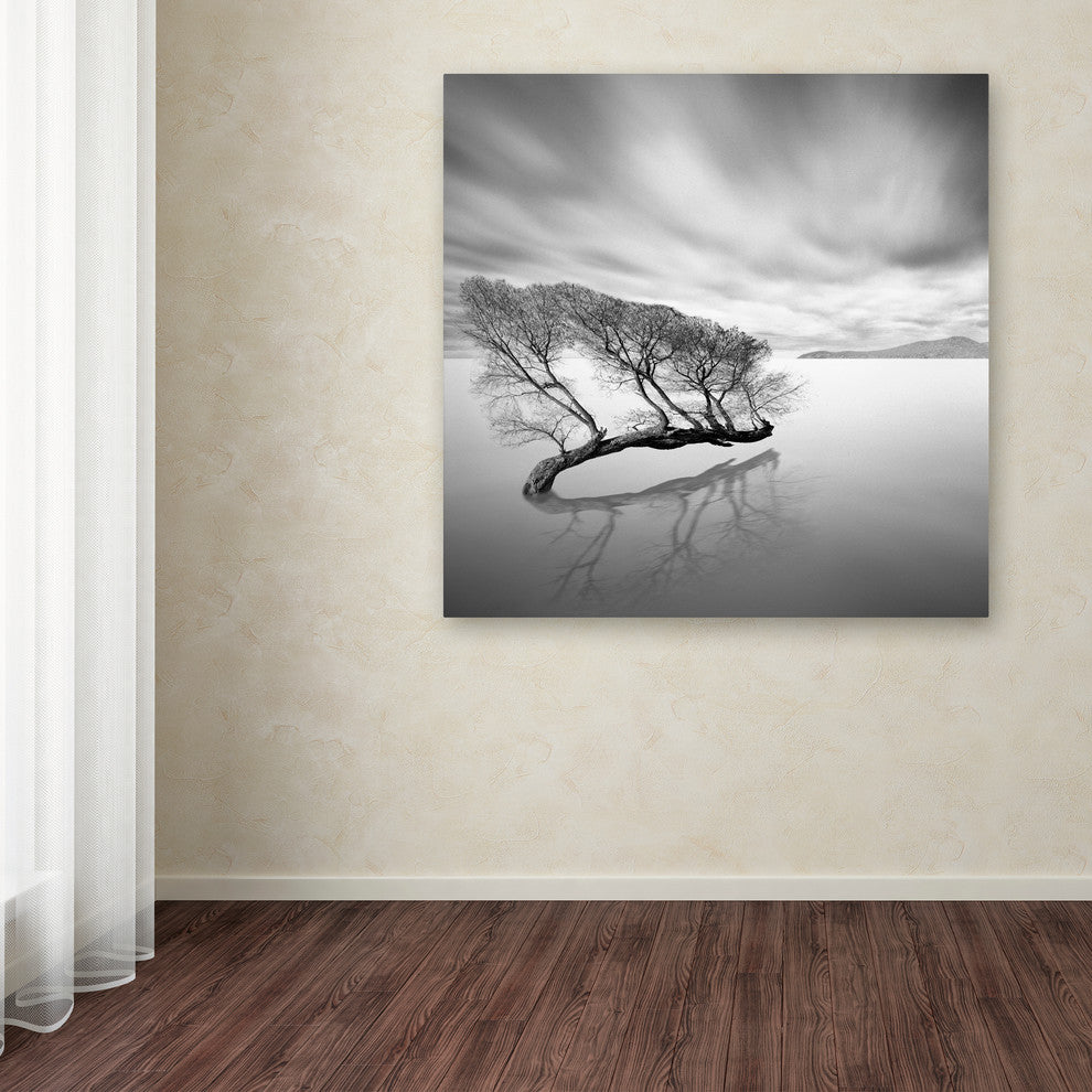 'Water Tree VII' Canvas Art by Moises Levy