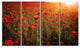 Dense Poppy Field At Sunset, Floral Canvas Art Print, 48"x28", 4 Panels