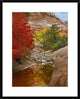 Maple and Cottonwood Autumn Foliage, Zion National Park, Utah, 24"x30"