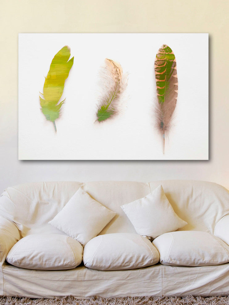 "Feather Paints" Artwork